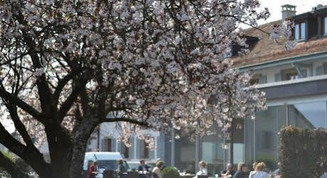 De Confignon Hotel 3*